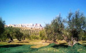 Basilicata in fermento: largo ai giovani