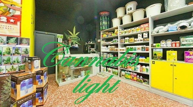 Stop cannabis light: non solo fumo, i mille usi della canapa